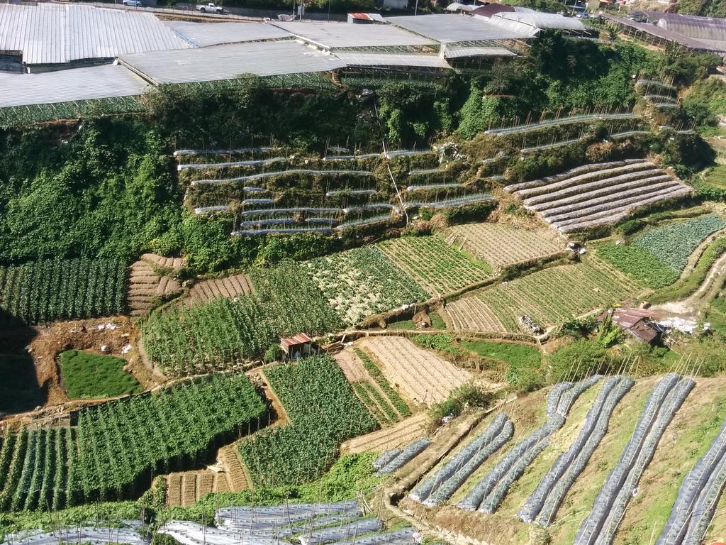 Mary Apt @ Equatorial Hill Resort Cameron Highlands Eksteriør billede